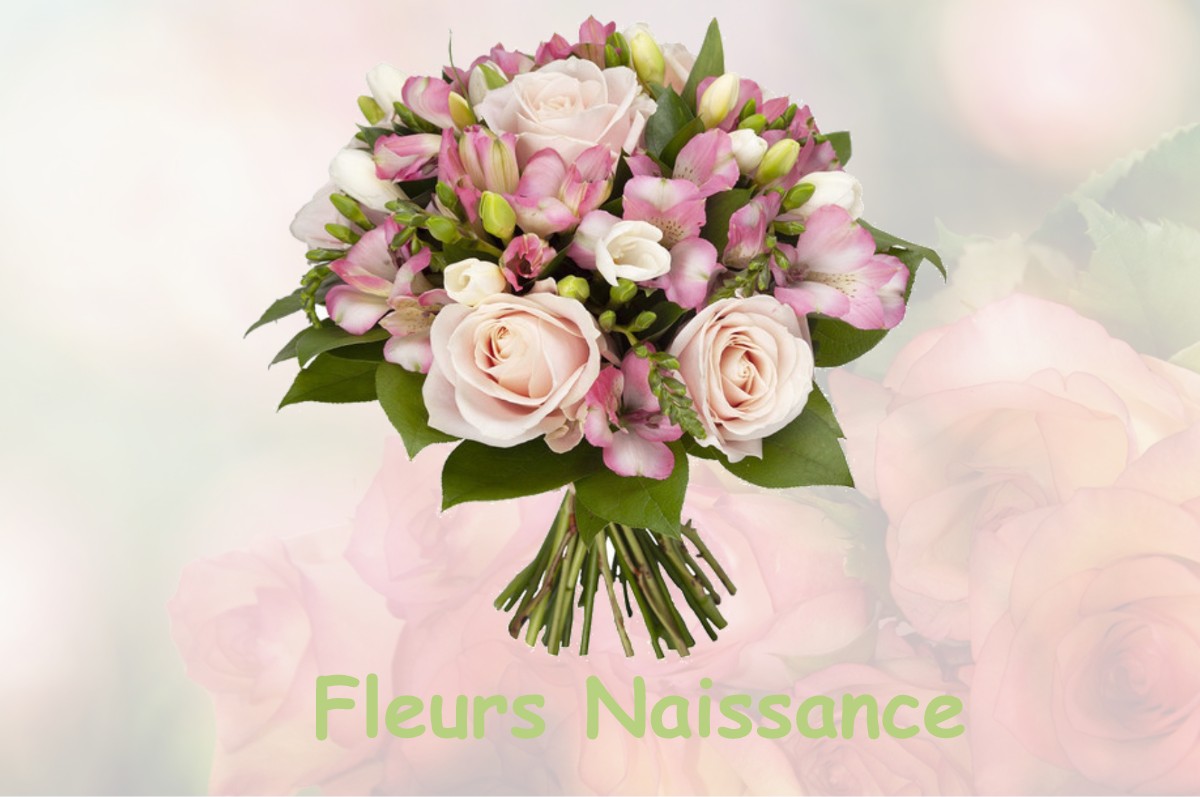 fleurs naissance MAYREGNE