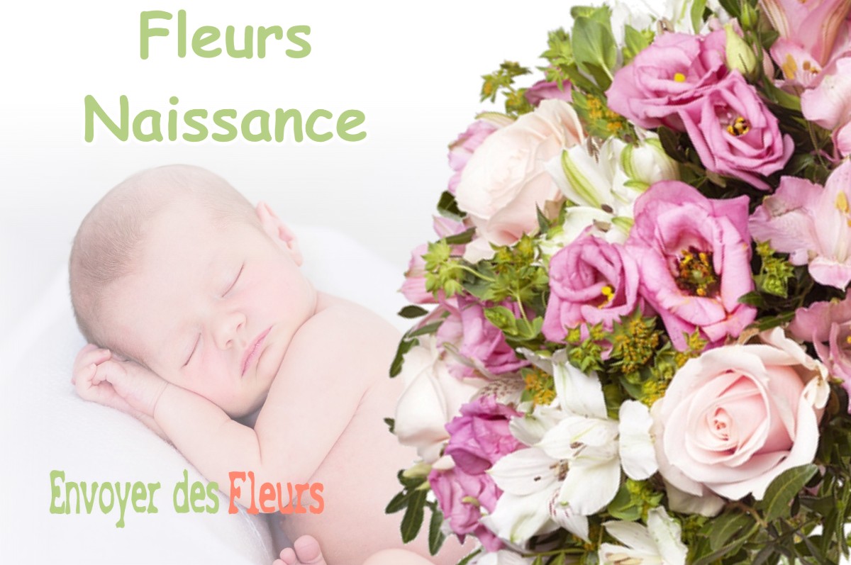 lIVRAISON FLEURS NAISSANCE à MAYREGNE